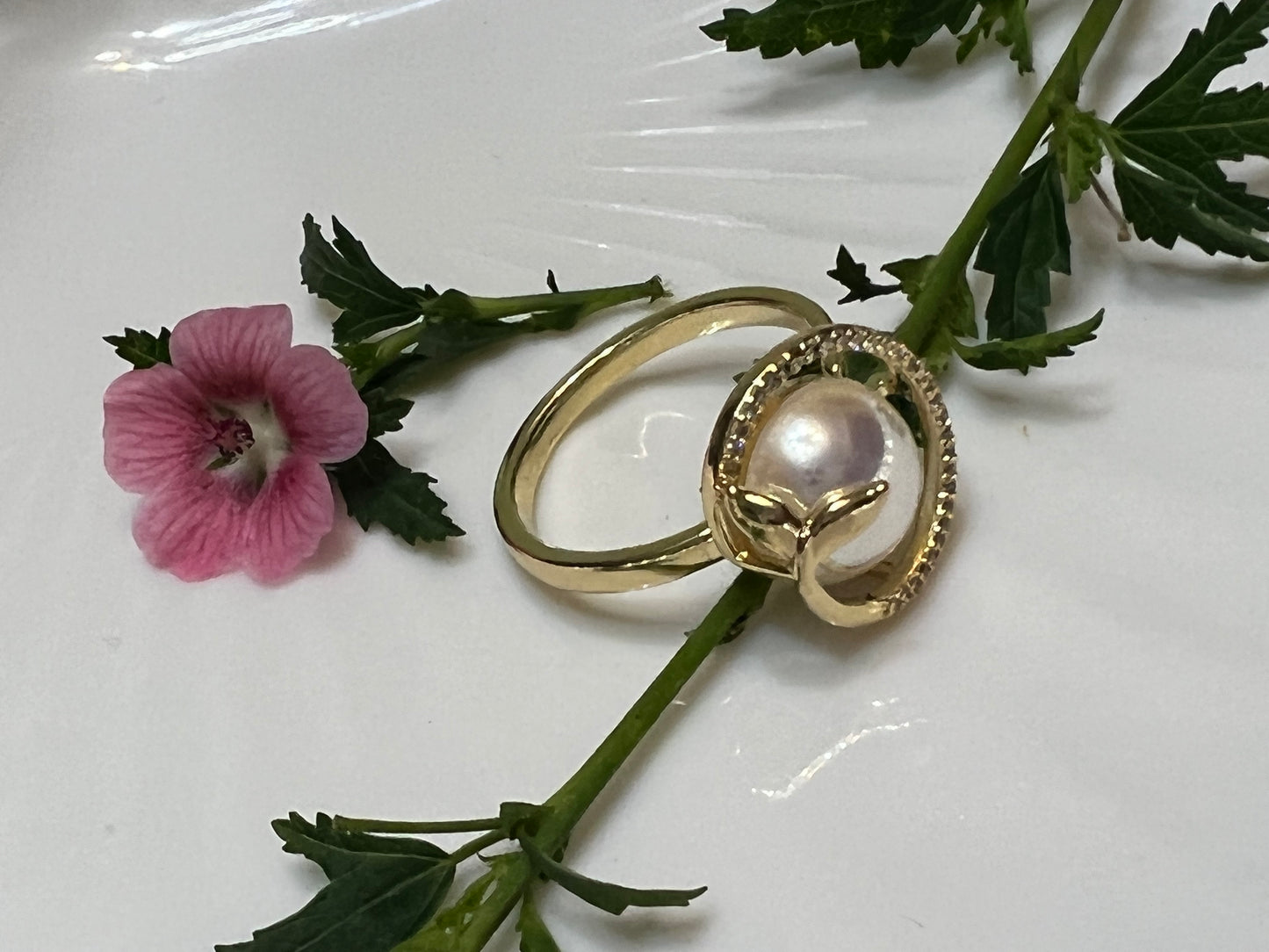 Fashion pearl Ring Freshwater cultured pearl Ring Jewelry